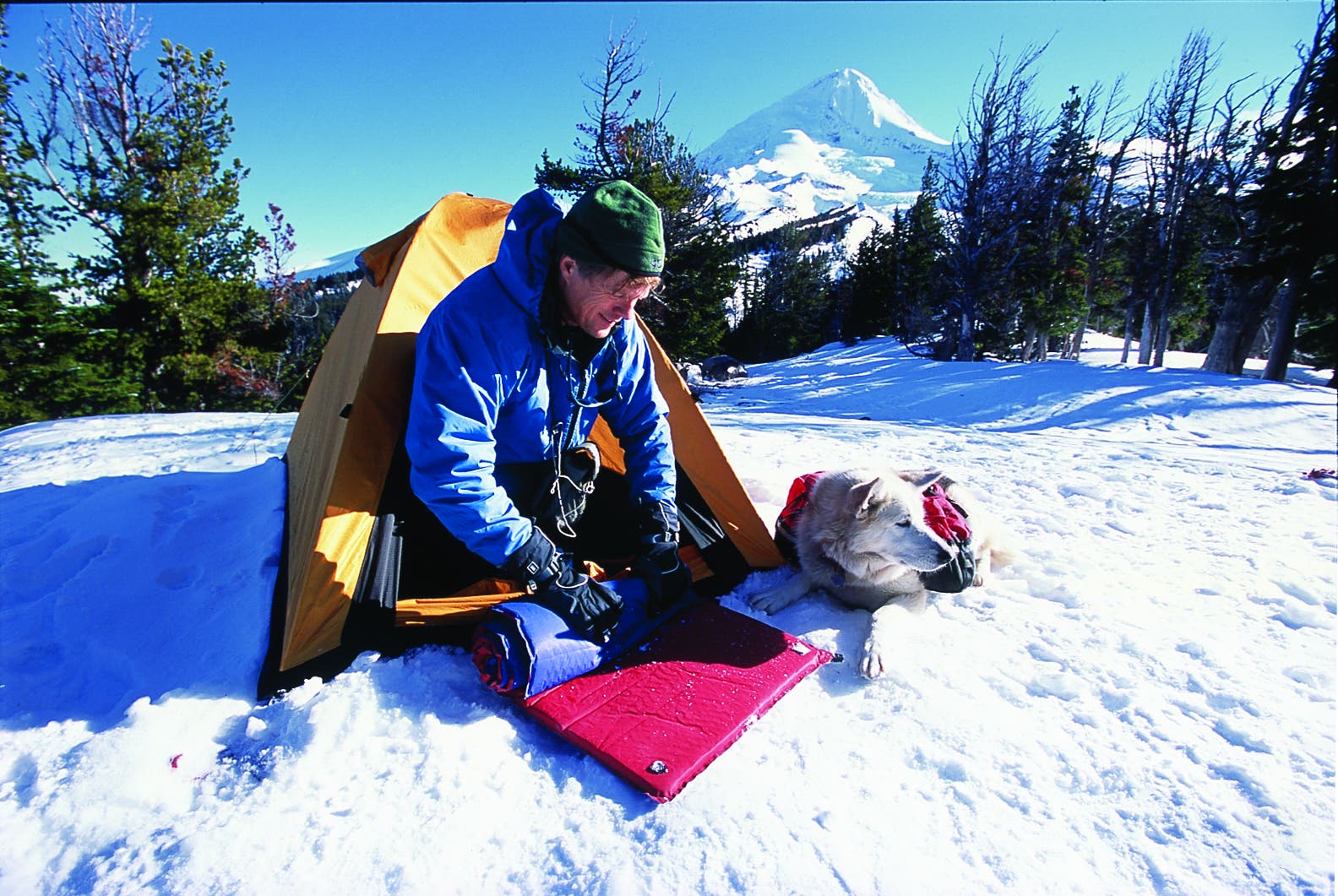 editors choice 2004 event shelter