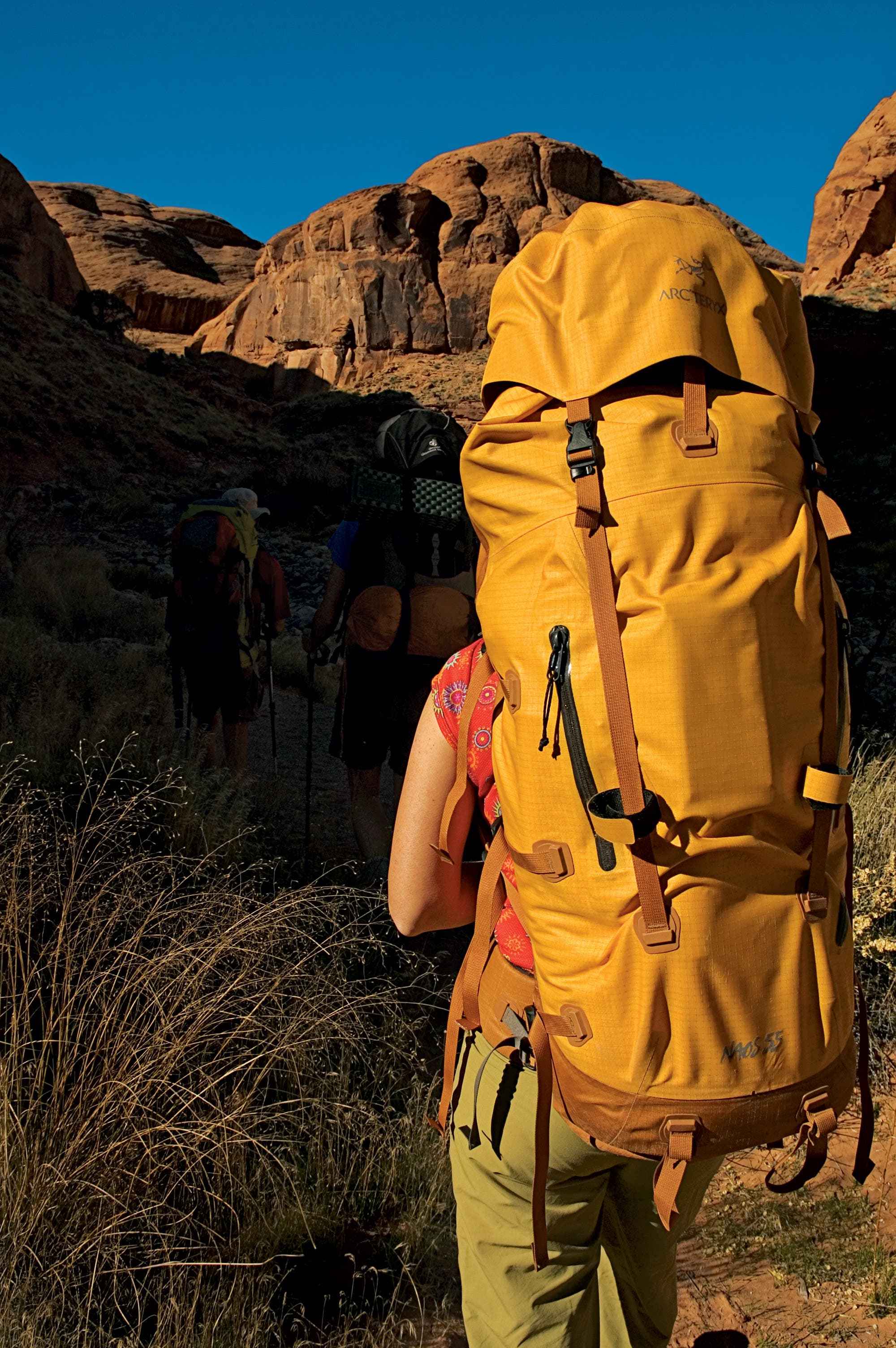 editors choice 2006 arcteryx backpack