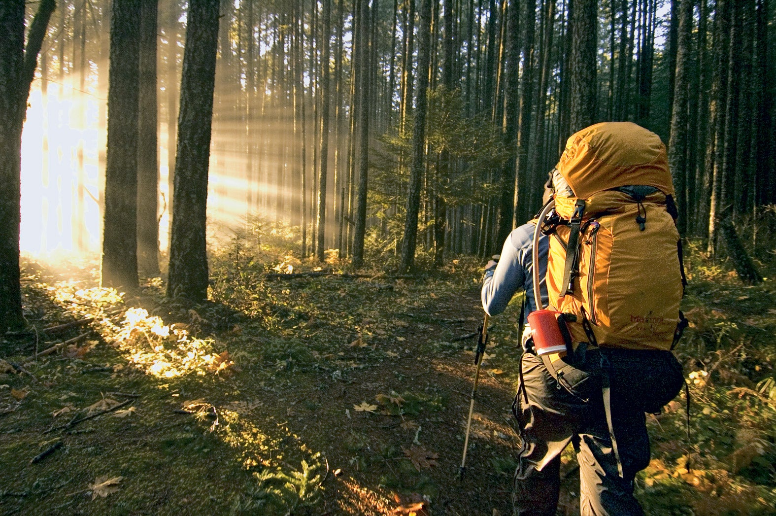 Ingenious Scout dishwashing rack made from hiking poles