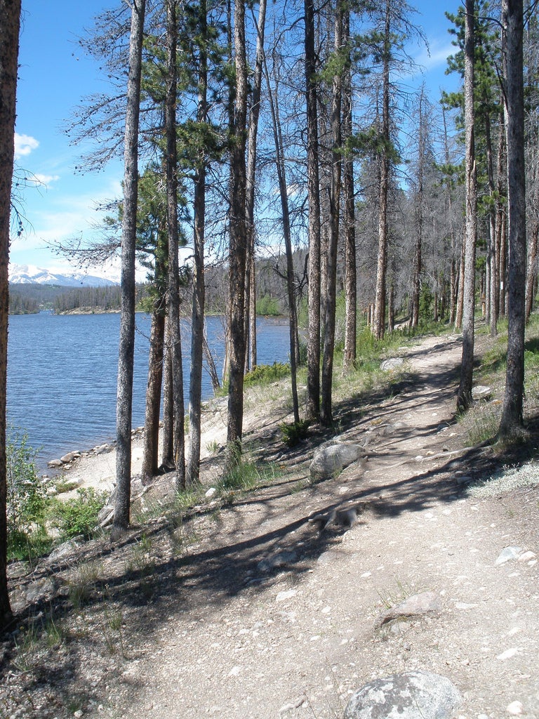 rocky mountain bike trail