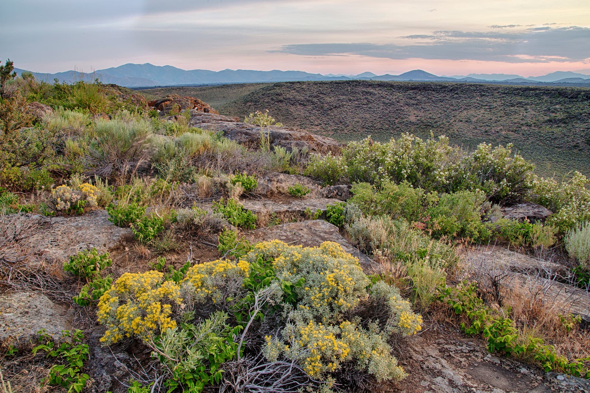 34328968313_2f744c357d_k None