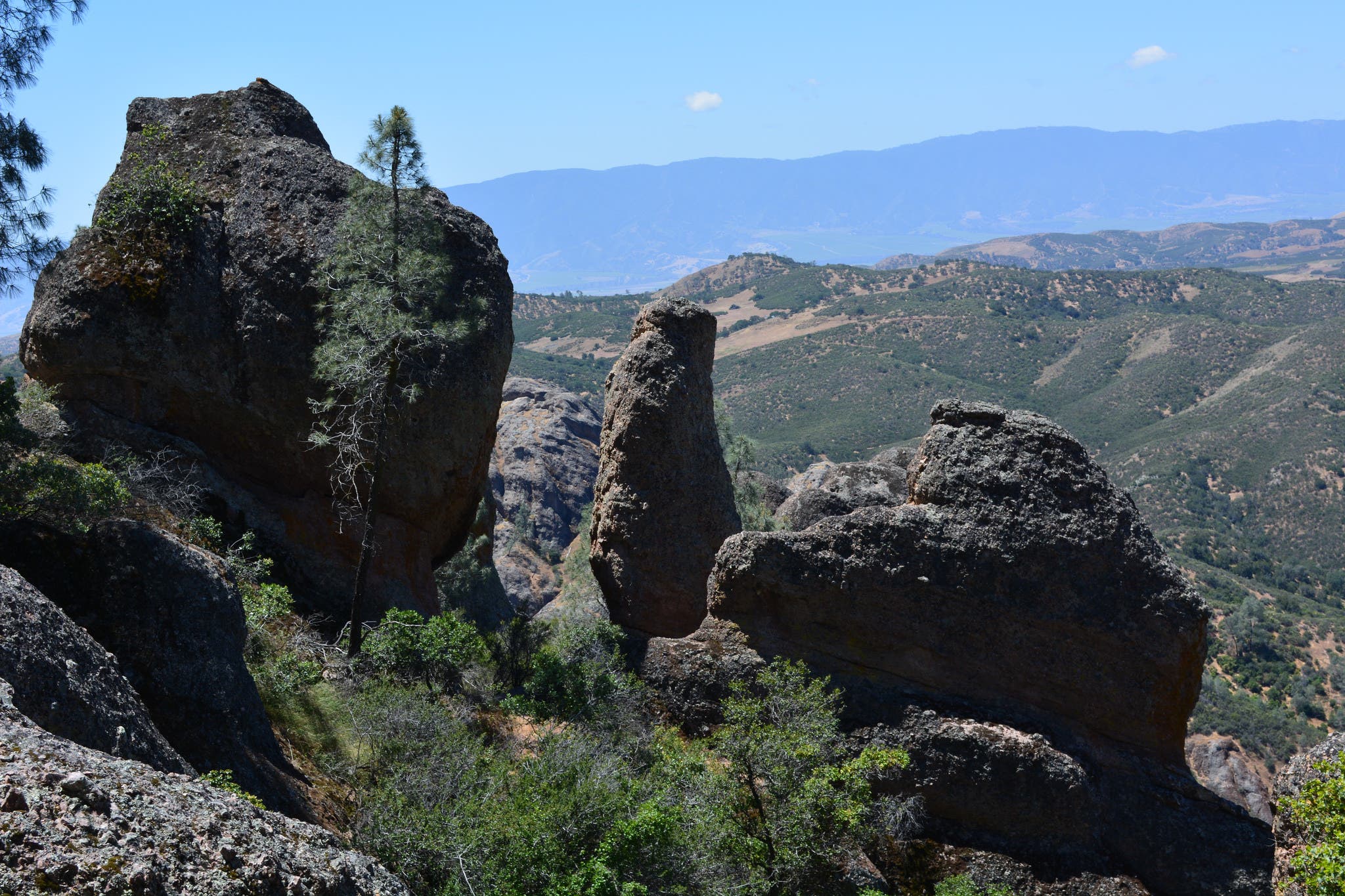 34631619746_7f7791791c_k None