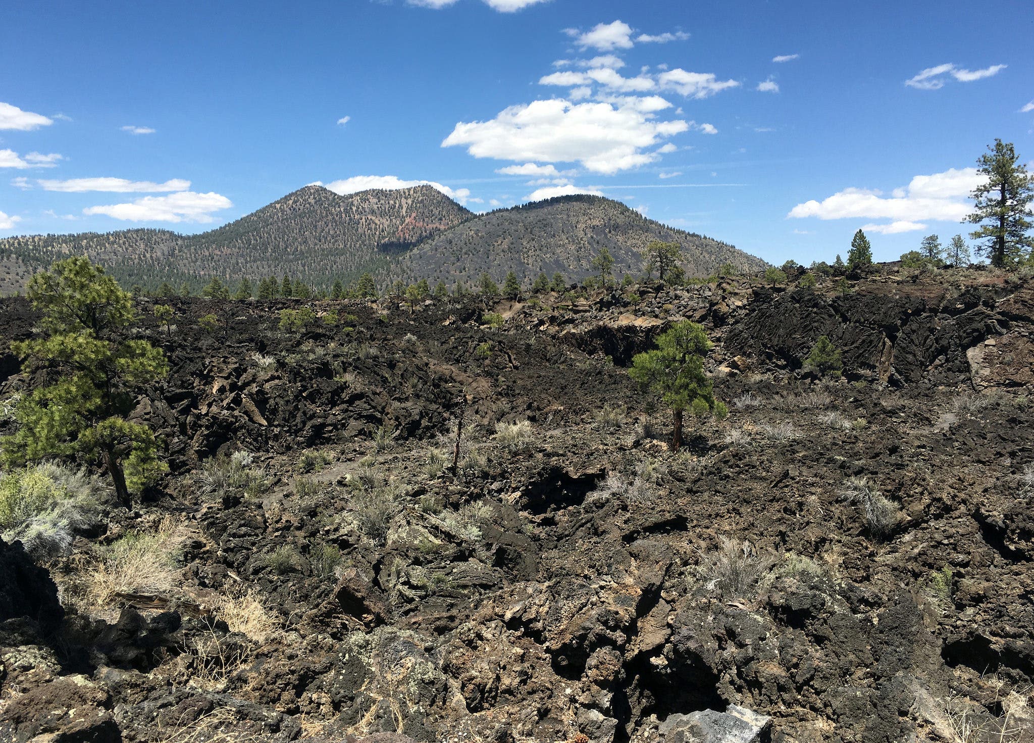 35742413235_beddaf013a_k None