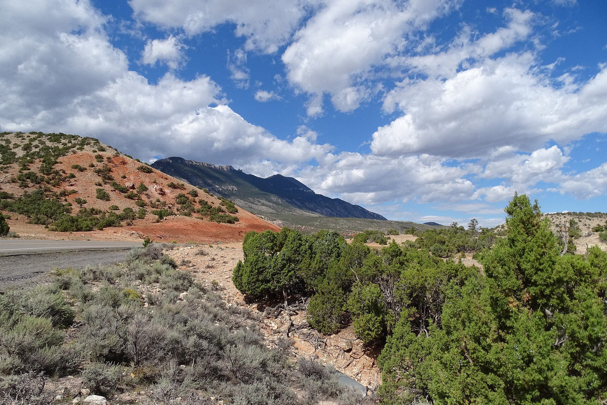 37147494381_64ccdf5f82_k None