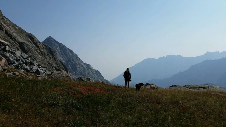 kneeknocker pass None
