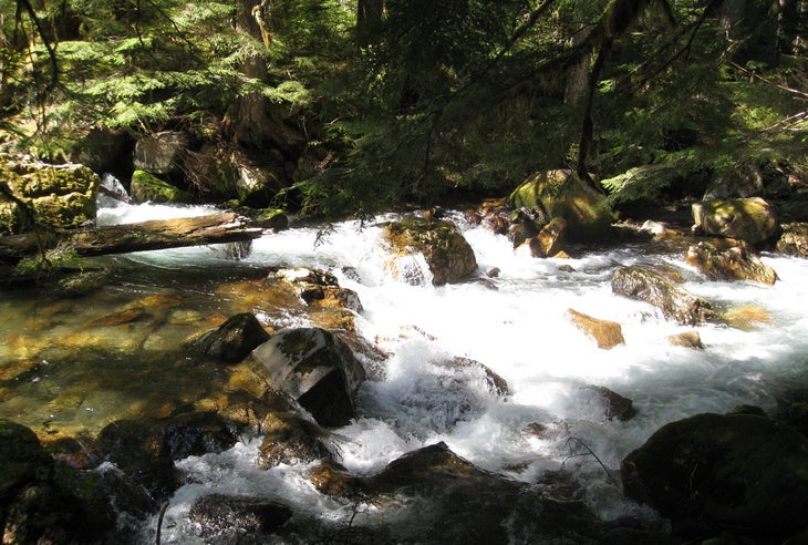 lower elliot creek None