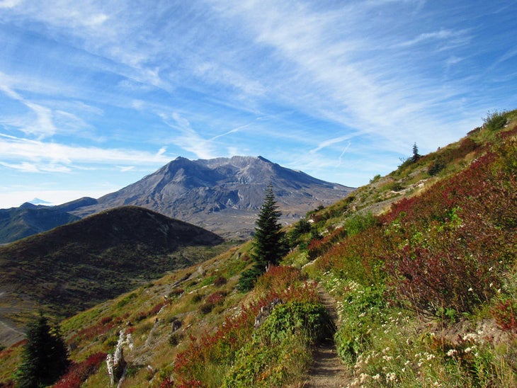 mt margaret loop None