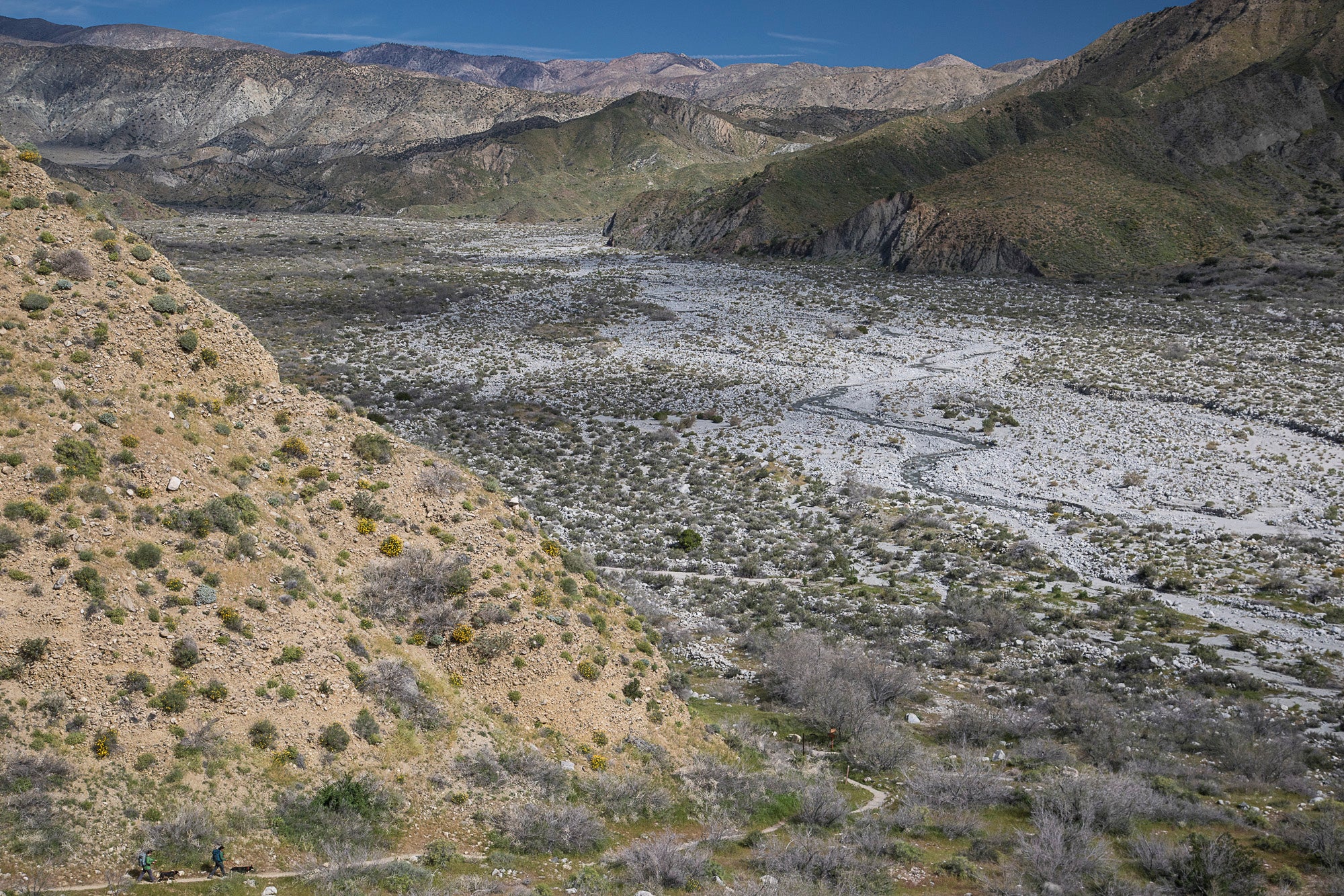 "pacific crest trail desert"