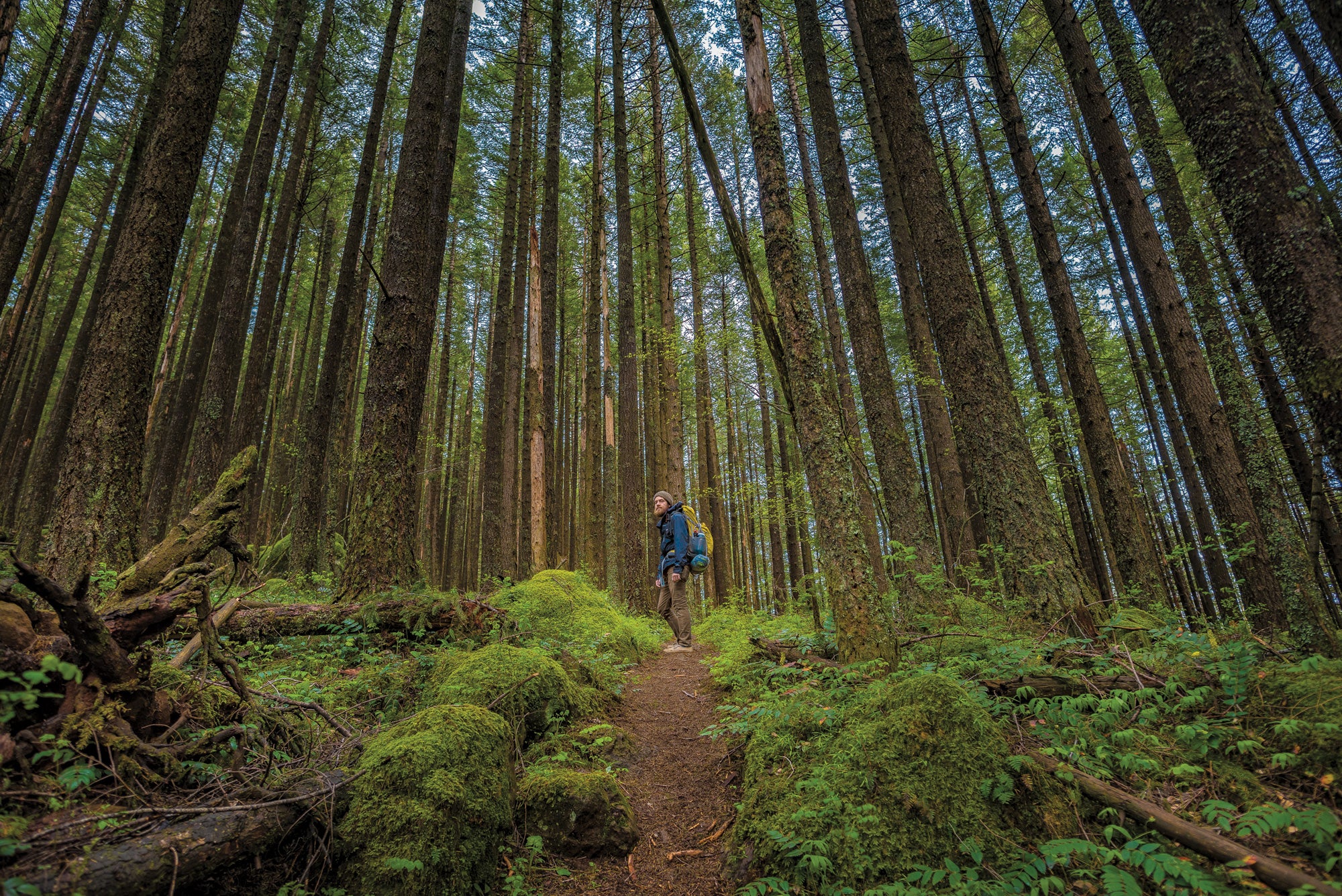 Explore the Columbia River Gorge