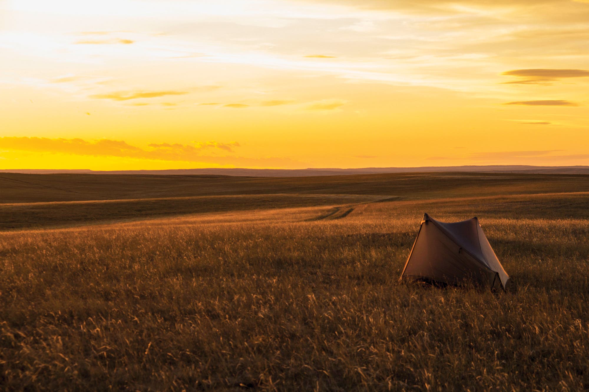 BP0618GPT_RobertPahre979_gn None