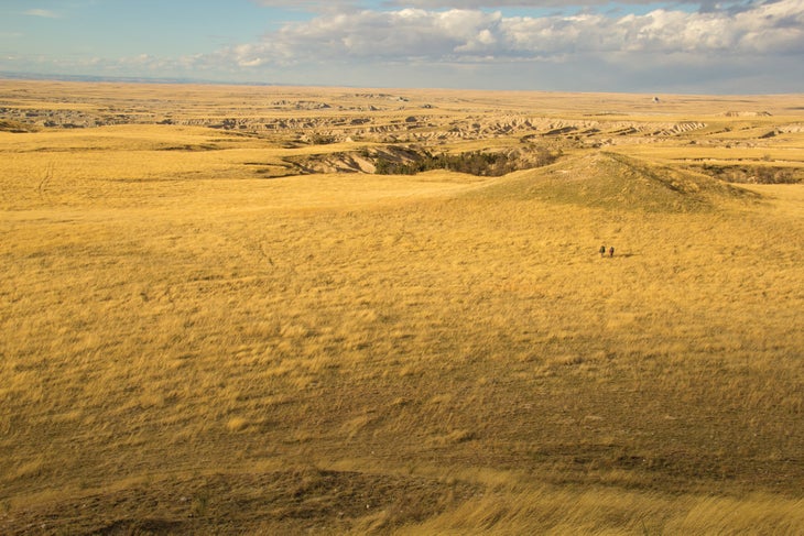 BP0618GPT_RobertPahre_-467_gn great plains trail