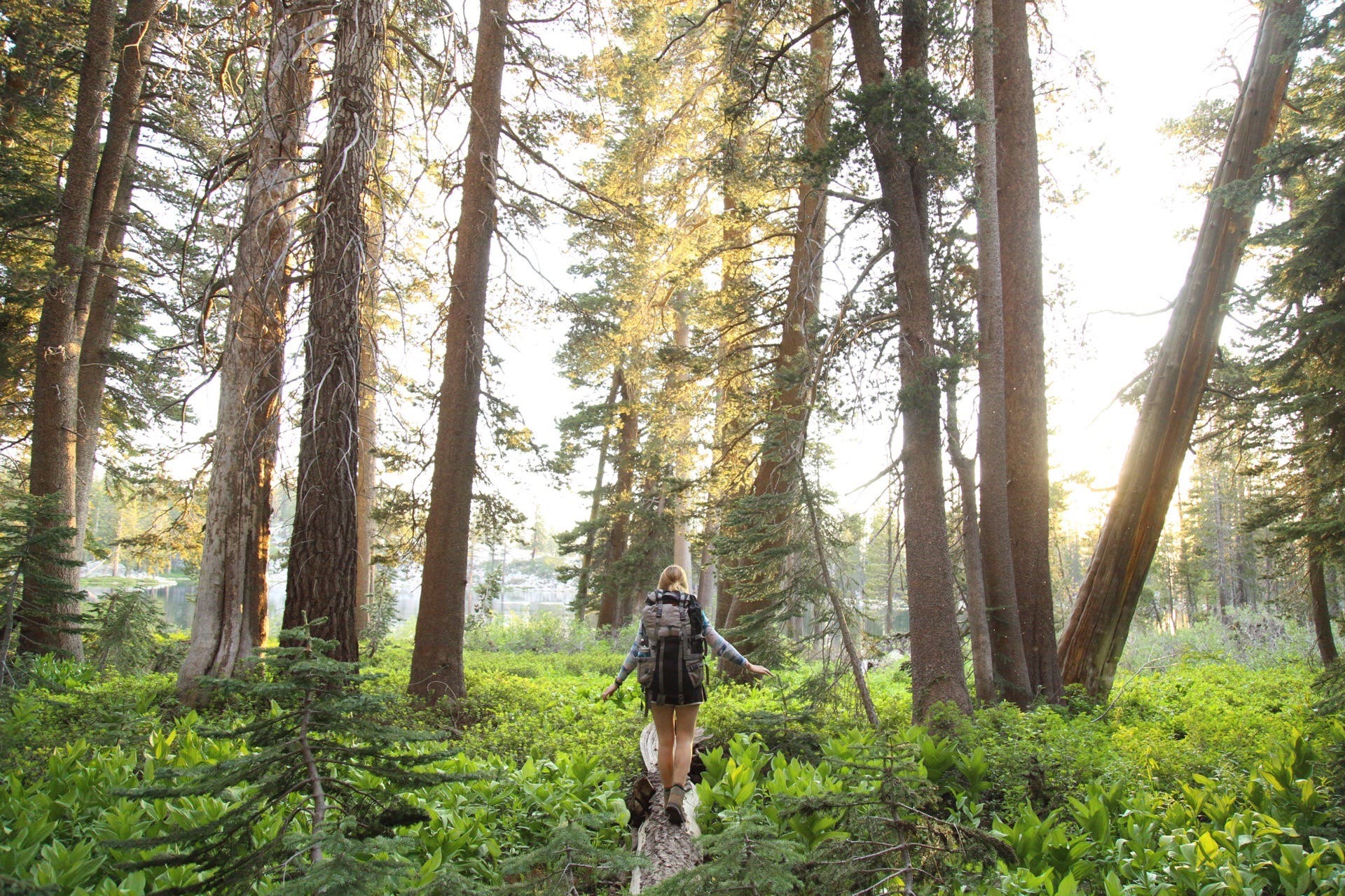 DanielleIMG_1030_CoverContestRunnerUp None