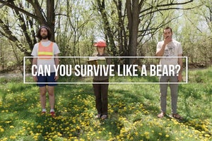 Human vs. Bear: Can Our Editors Survive?