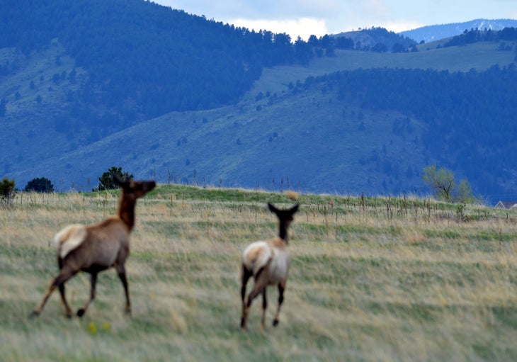 rocky flats None