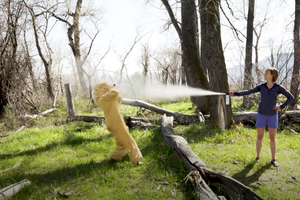 Watch: How to Master Your Bear Spray