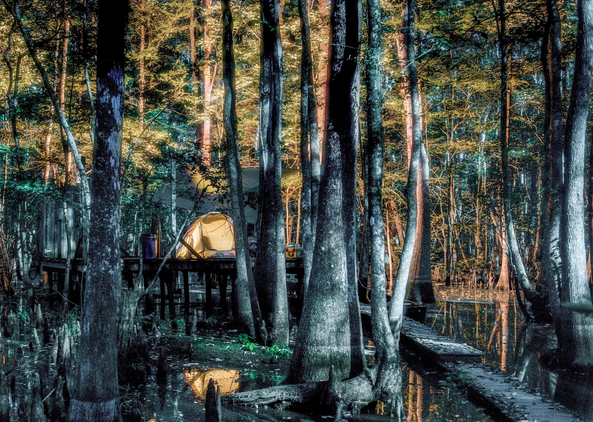 "roanoake river national wildlife refuge"