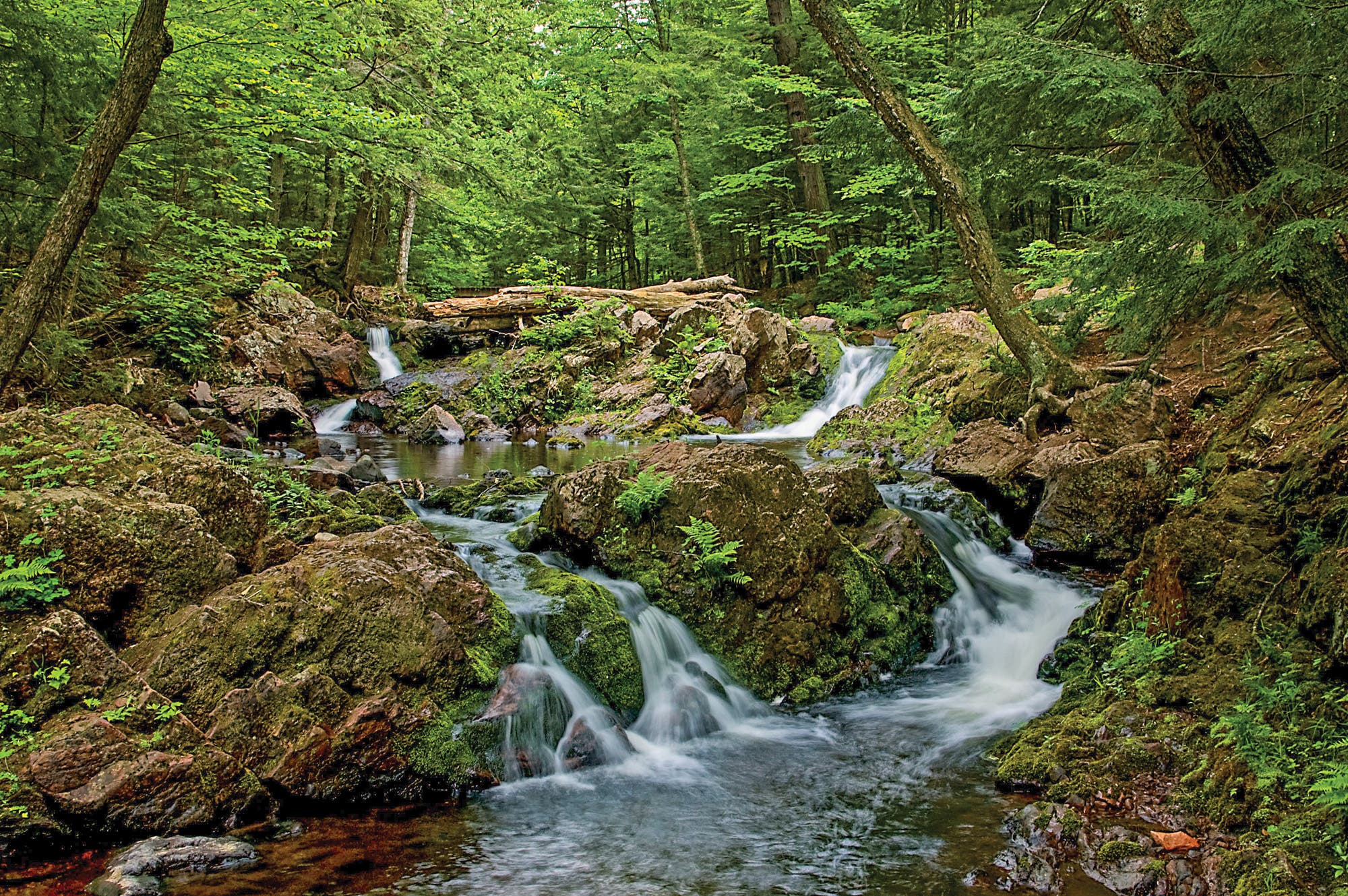 See Overlooked Falls near mile 10.