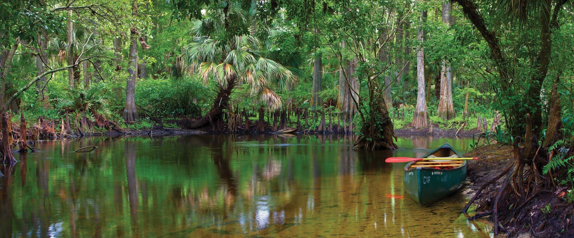 BP0618PAD_SengRoyalPhotoA116LoxahatcheeRiver Loxahatchee River, Florida
