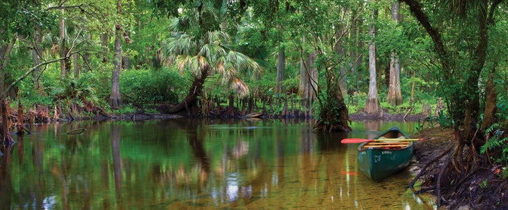 Loxahatchee River, Florida