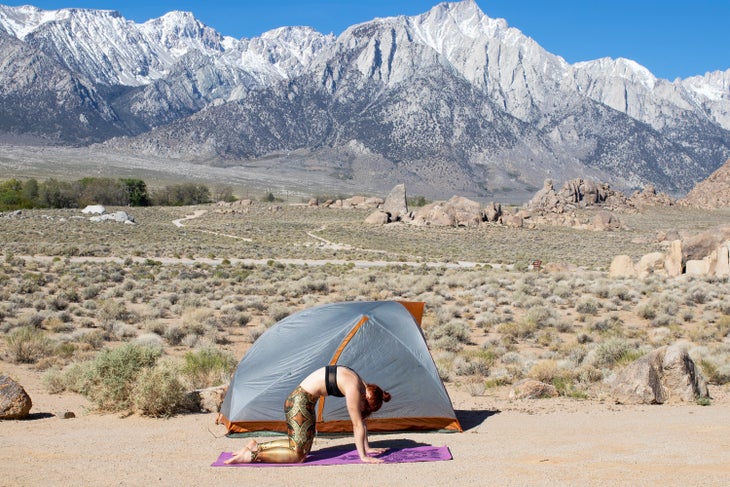 Cat Pose cat yoga pose