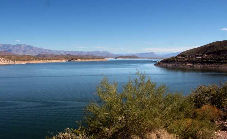 roosevelt lake tonto None