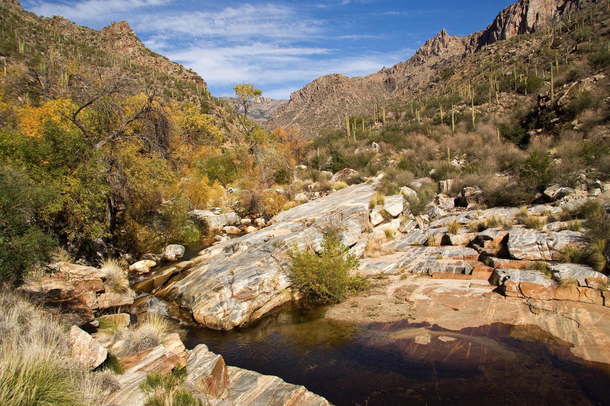 sabino canyon None