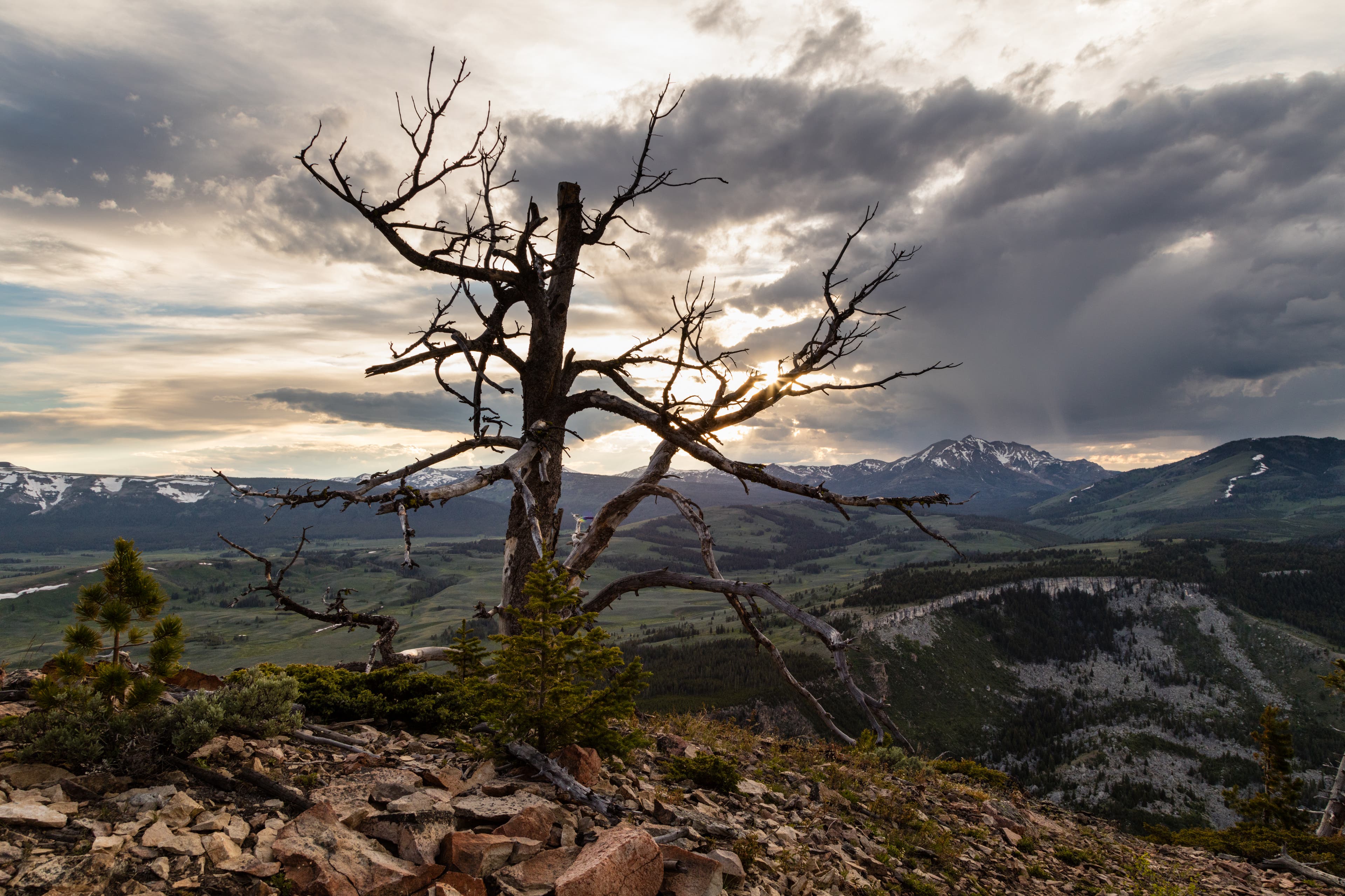 36828426530_44941e1e87_o None