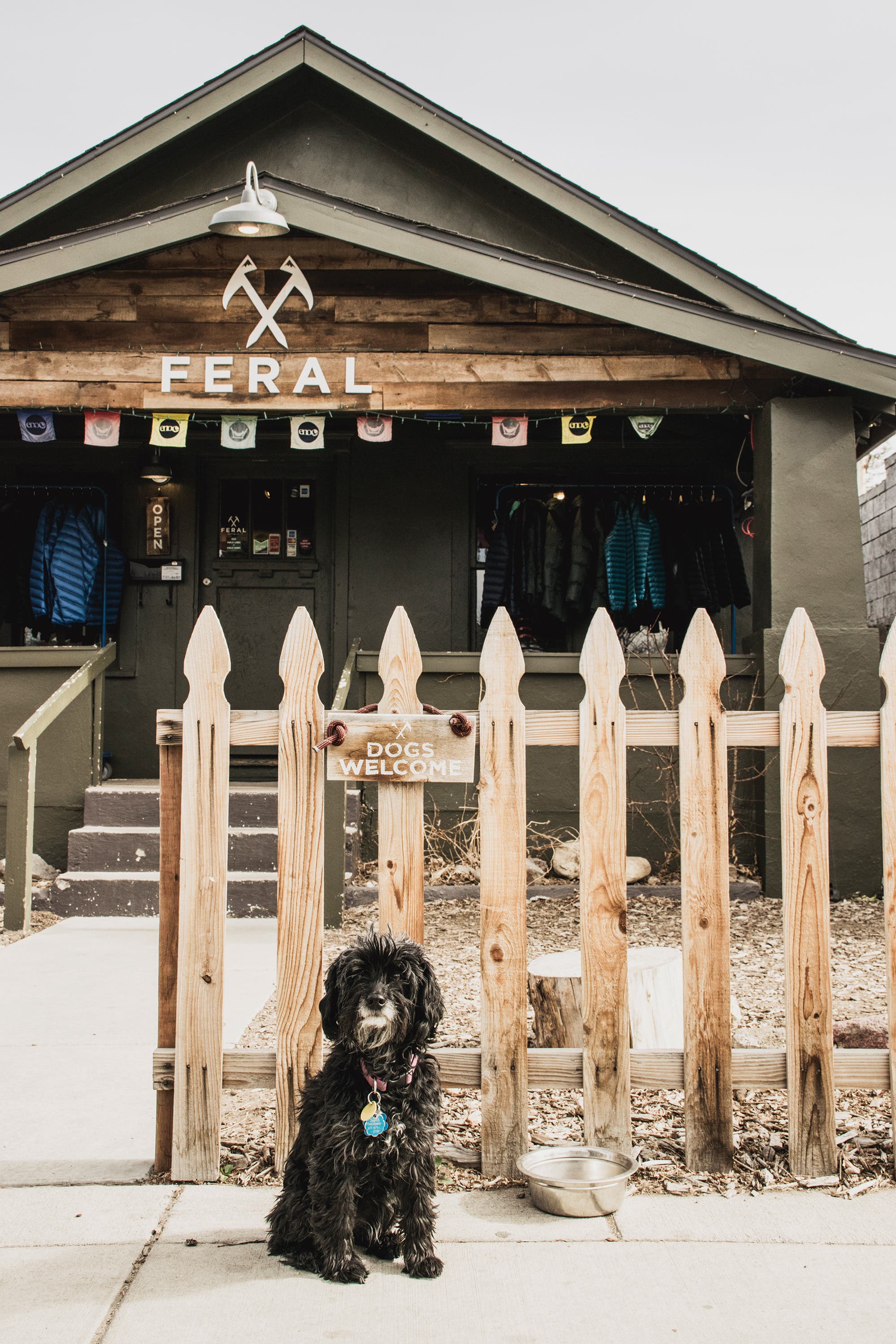 BP0518LocalCO_Feral20180208Sophie Best Local Hikes Denver gear