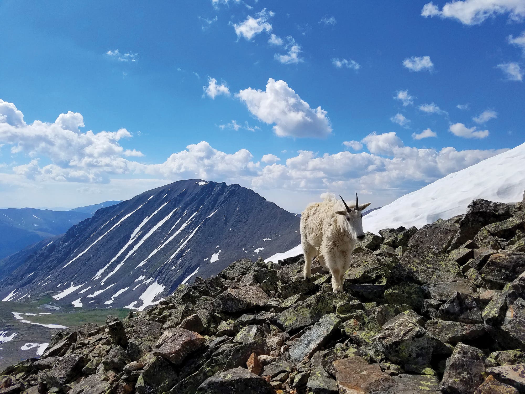 BP0518TOC_JCopenhafer20170708_095421 Best Local Hikes Denver Atlantic Peak