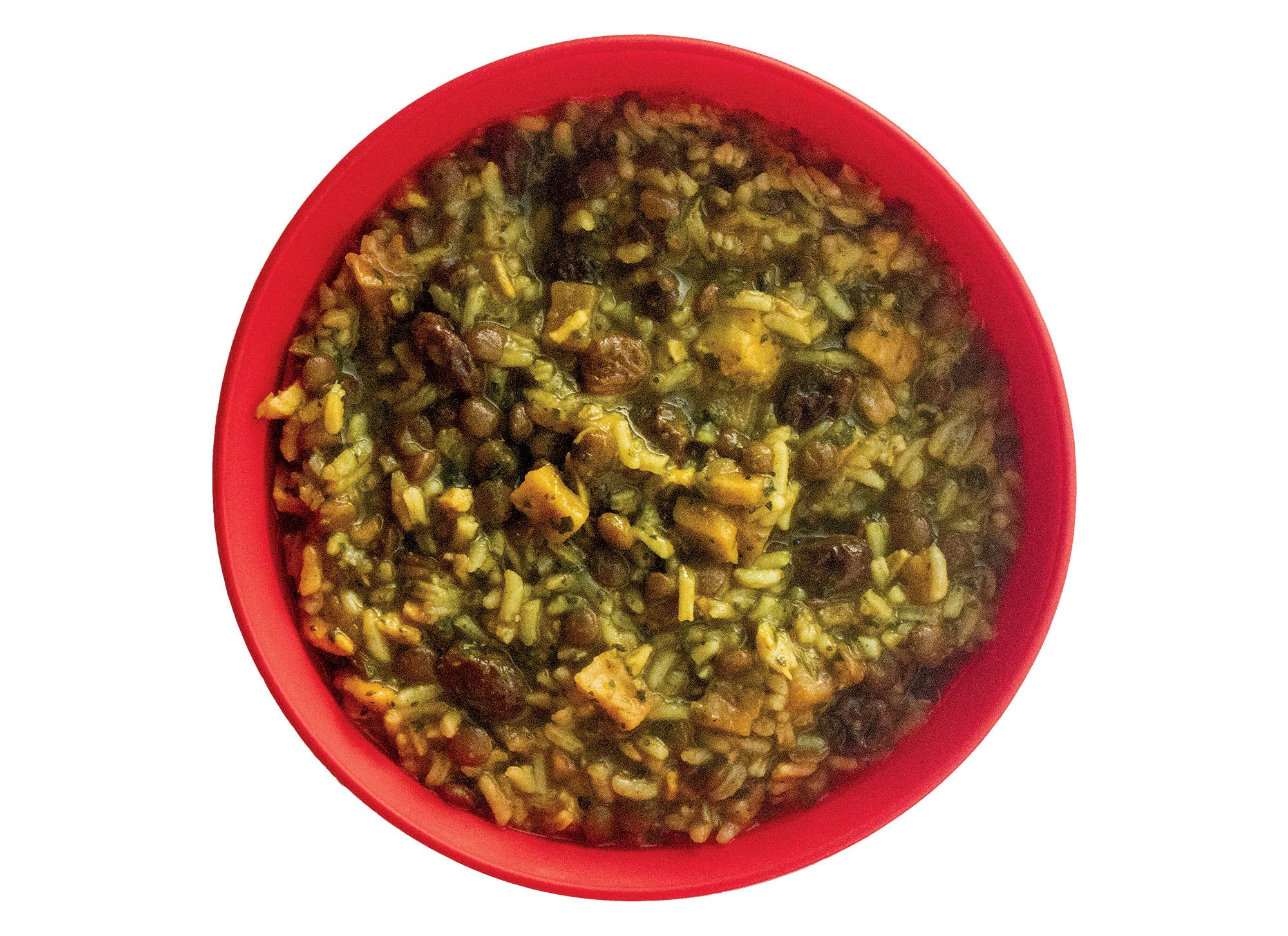 AlpineAire Spicy Chicken Curry best backpacking food