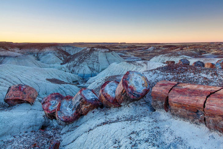 Painted Desert, Petrified Forest
