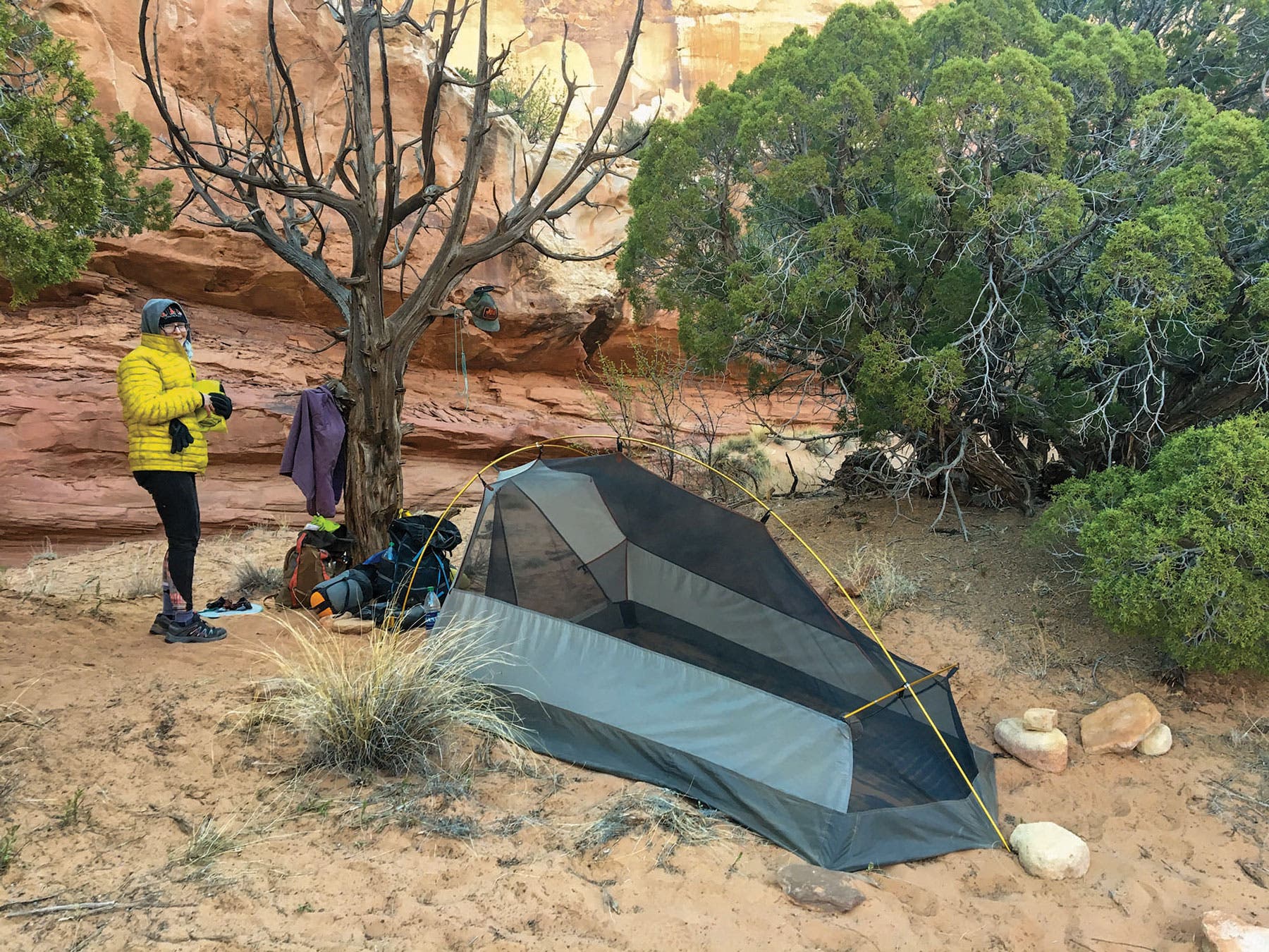 Capitol Reef | Camping Utah's National Parks with mom