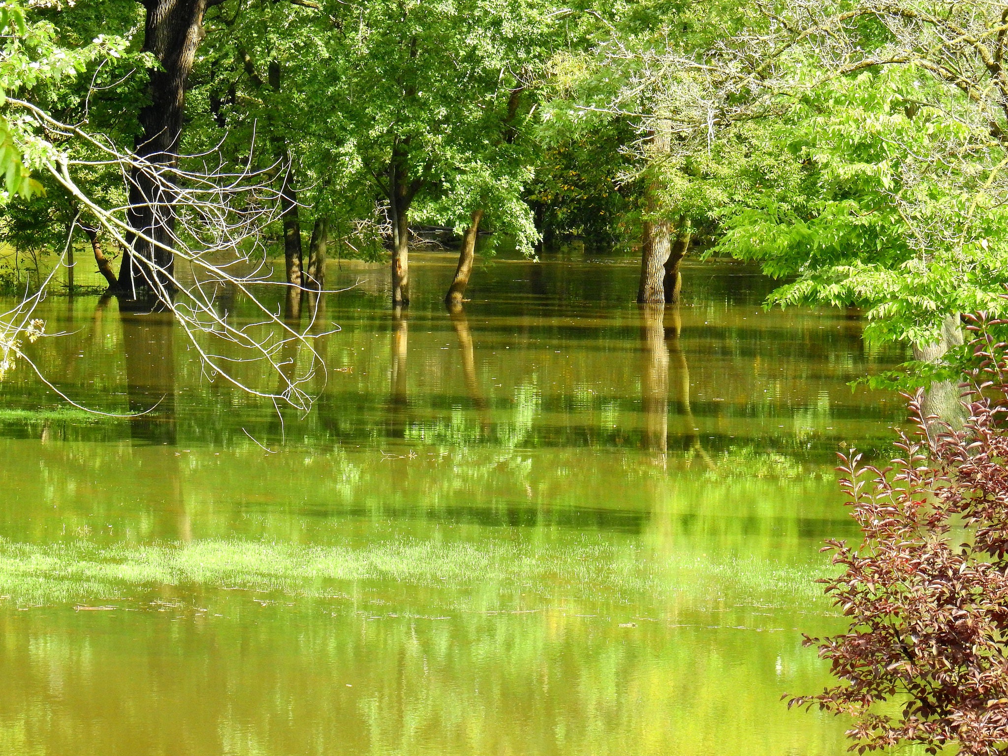 "Caldwell Woods flooding"