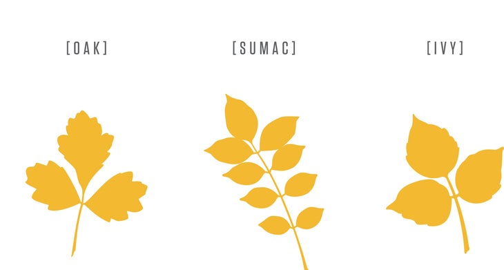 Wilderness maladies allergic reactions