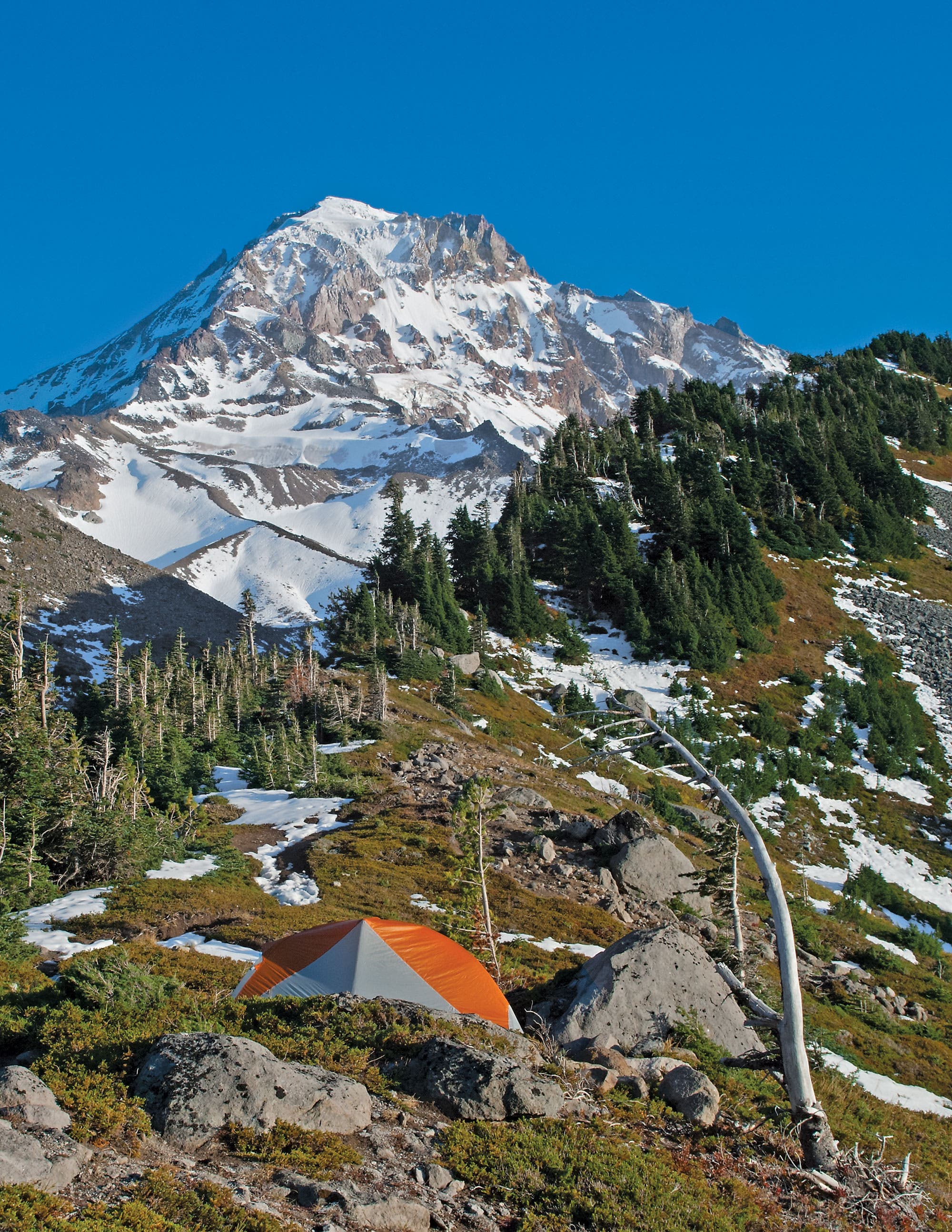 Mt. Hood National Forest, OR