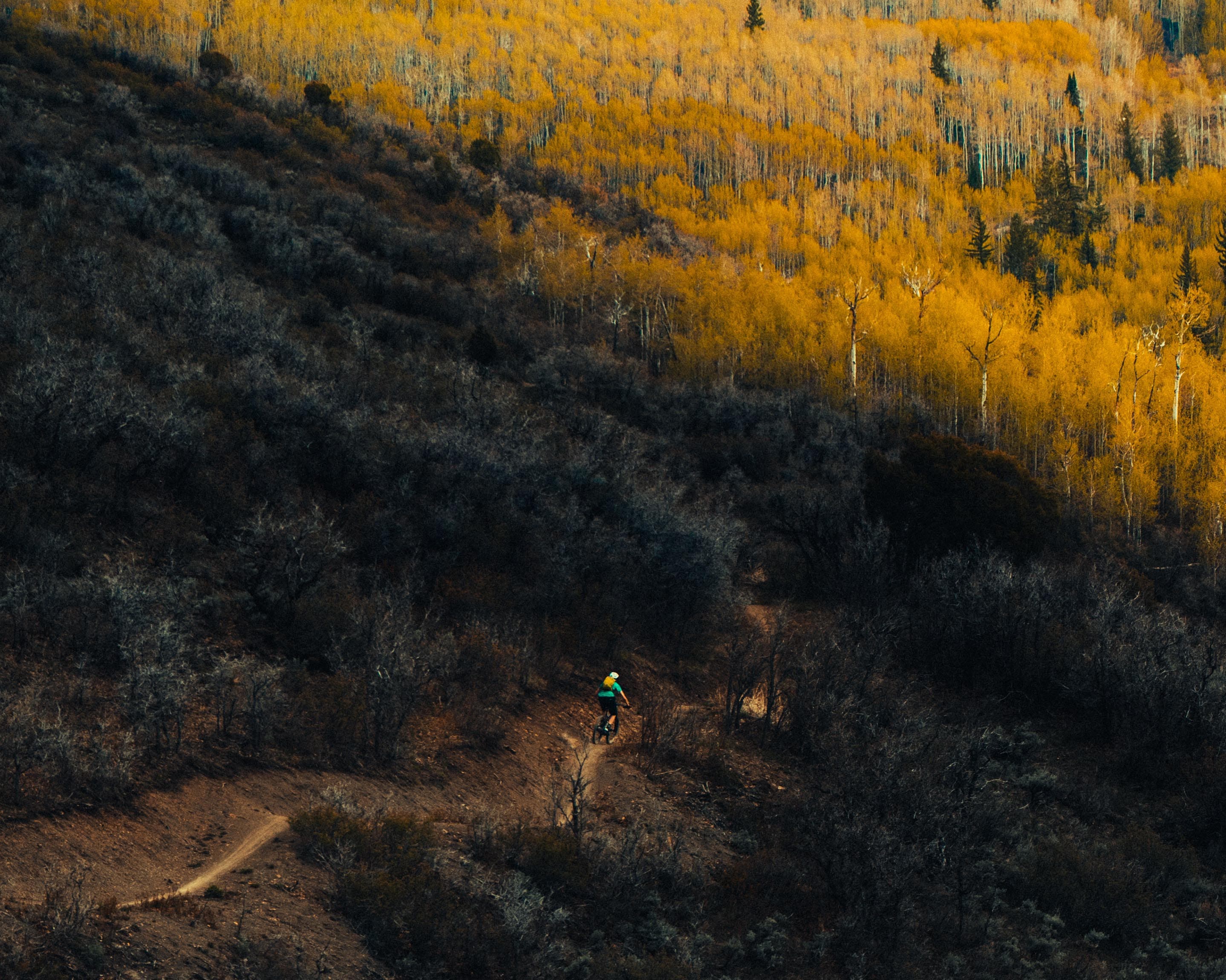 hunter-bryant-95397-unsplash None