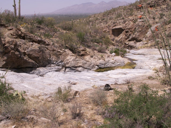 6128723182_75566bf11d_o dry arroyo
