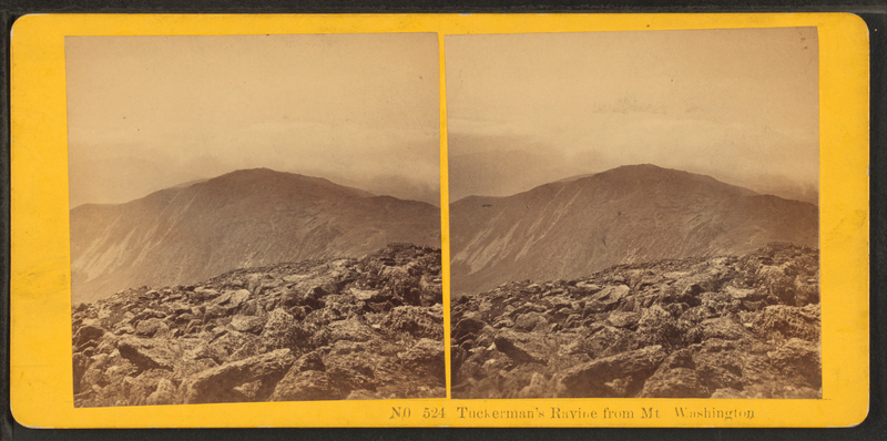 Tuckerman Ravine from Mt. Washington