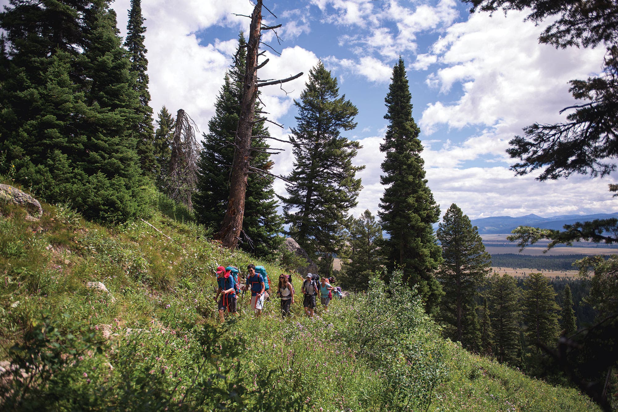 Lupine Meadows, Grand Teton Five hikers make their way through the greenery of Lupine Meadows at the start of their hike to the Grand Teton summit.