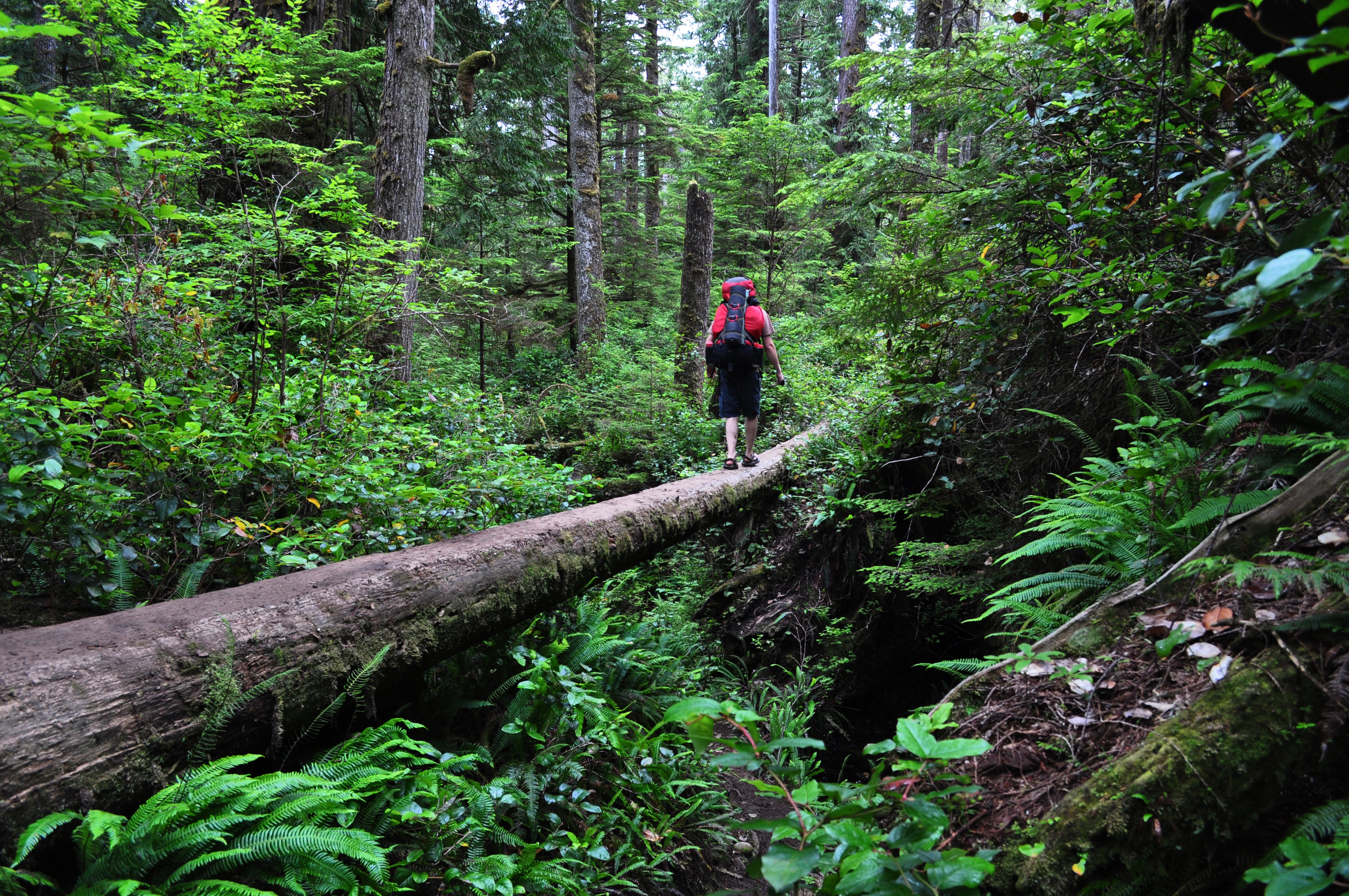 Hardest hiking trail in hotsell the world