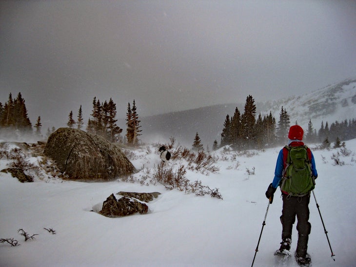 Woman and dog in snow storm