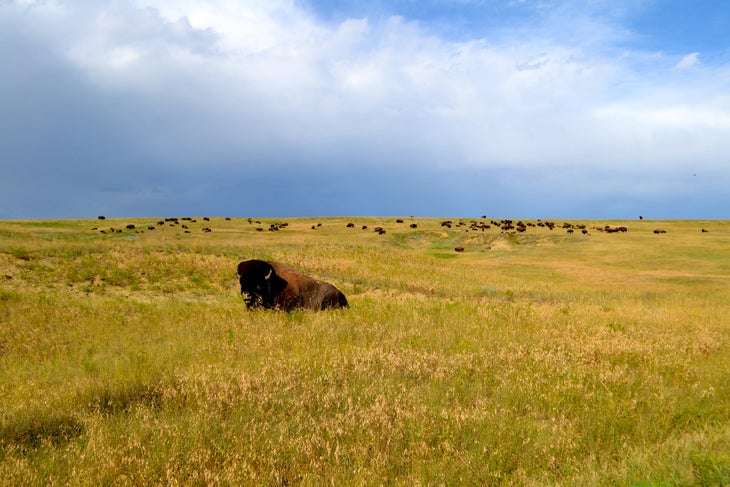 badlands badlands