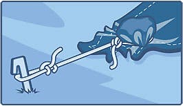 Image placeholder title None