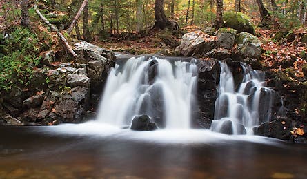 june 2010 secret at 445x260