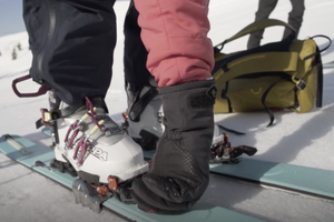 Editors' Choice Winter 2018: G3 Zed Bindings