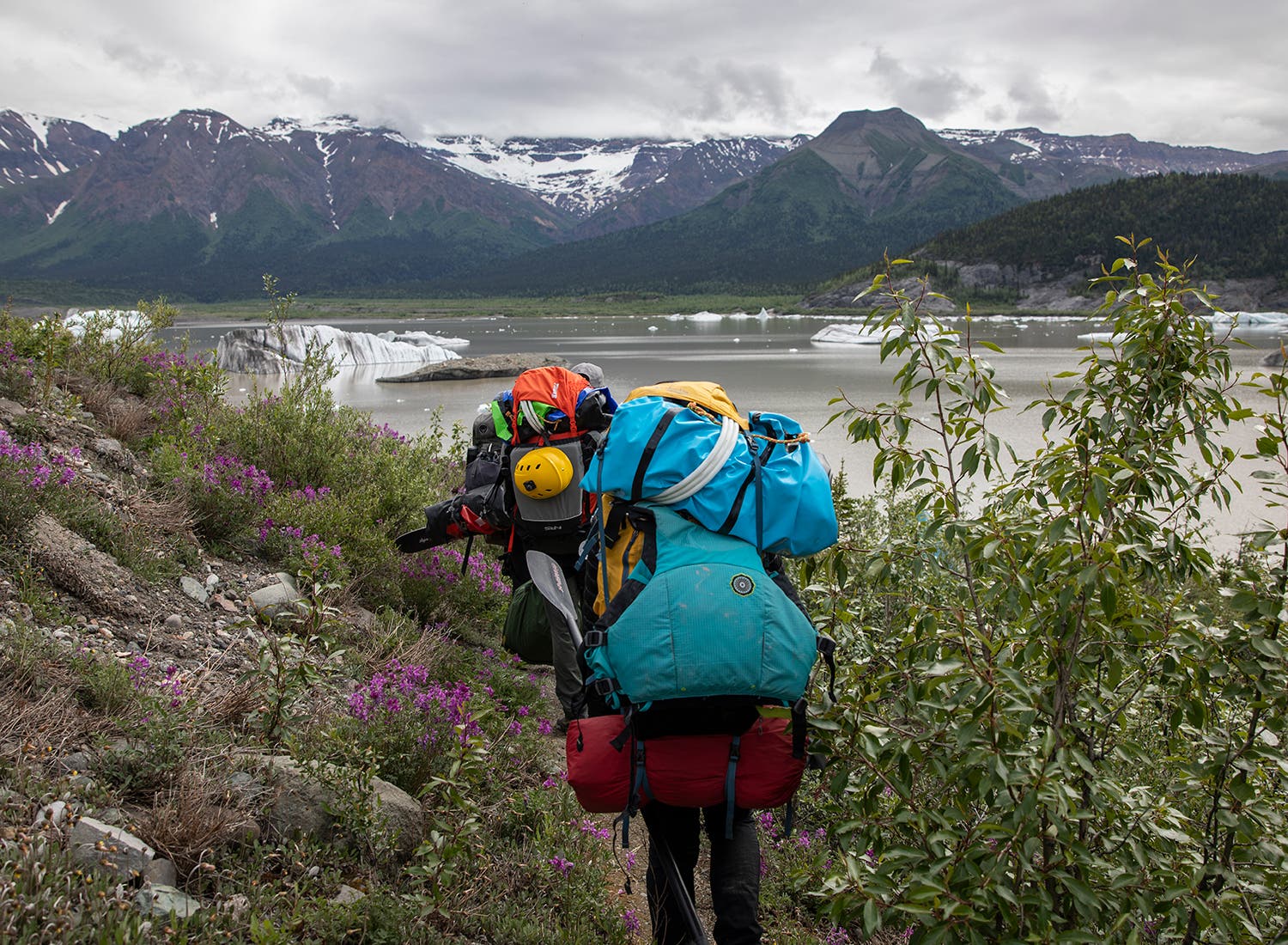 07_LAlbanese_Alaska0718_1716 None