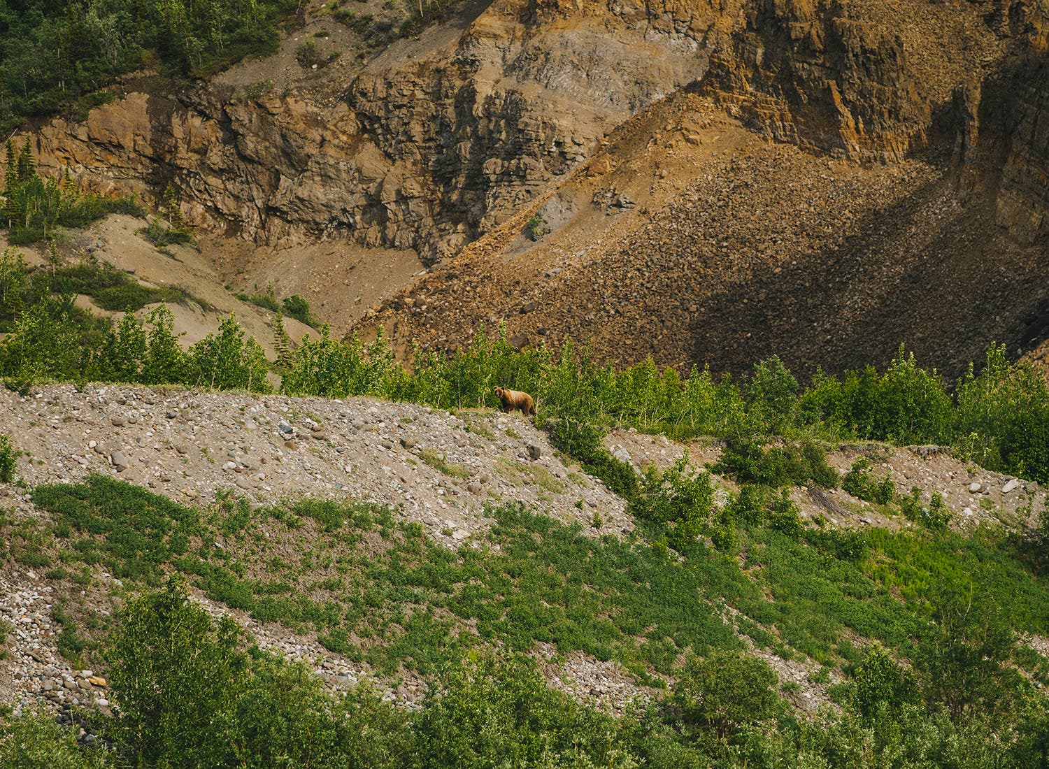 11_AKPackrafting2018_WrangellStEliasNP_CDBrown-7033- None