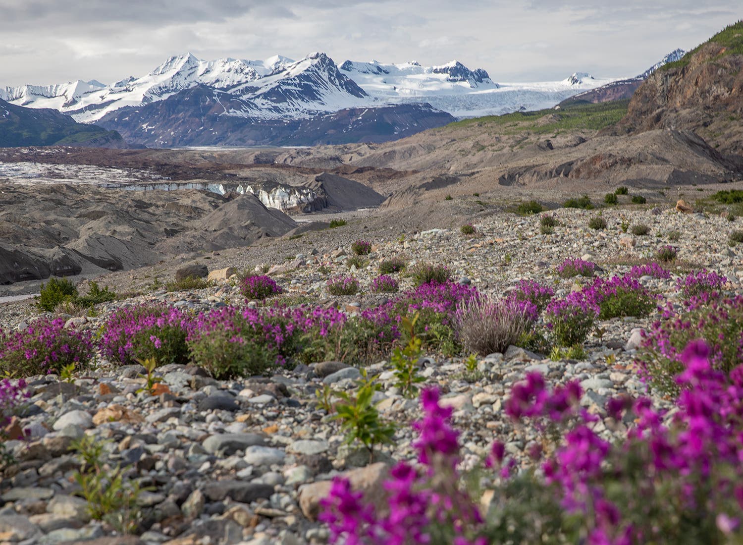 13_LAlbanese_Alaska0718_1744 None