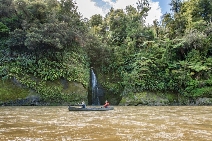 bp0119FEAT_NZ_Albanese0800 Whanganui River