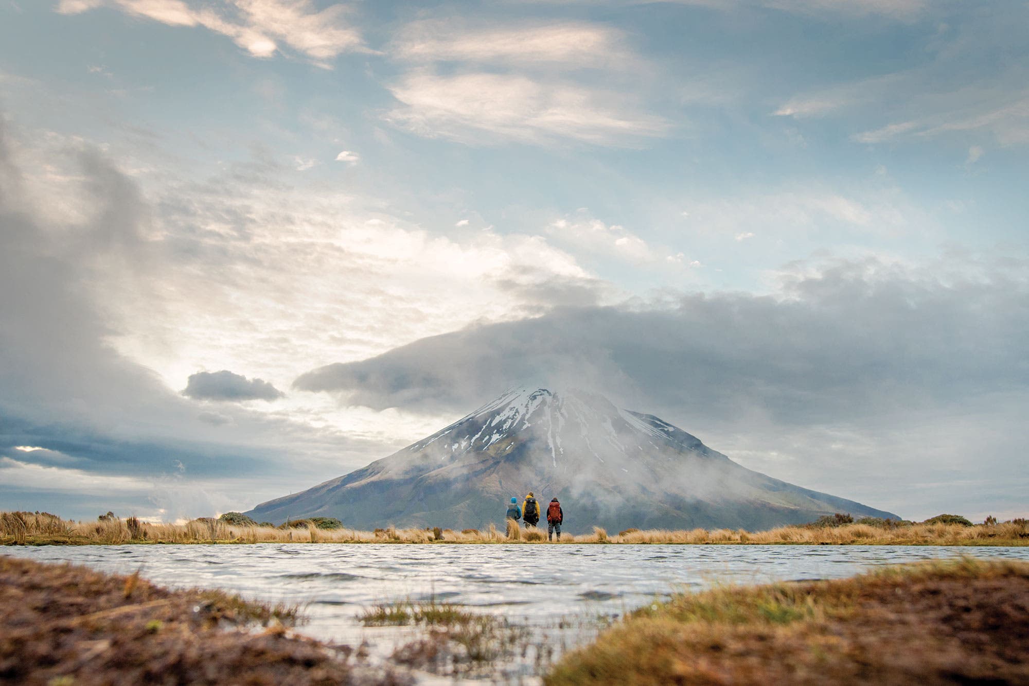 bp0119FEAT_NZ_Albanese9549 None